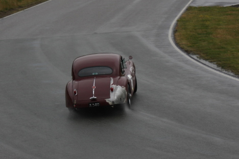 En Jaguar bliver aldrig for gammel til at vrikke med halen..
(Foto: Olfert)